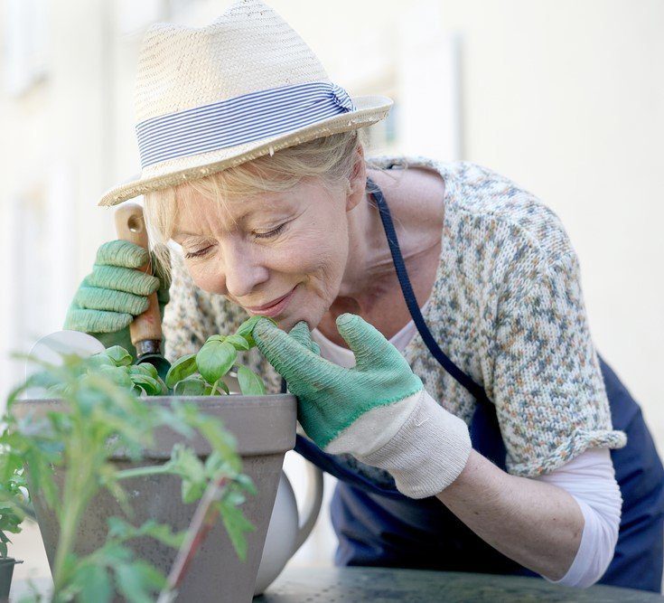 Elderly Lady Smells A Plant