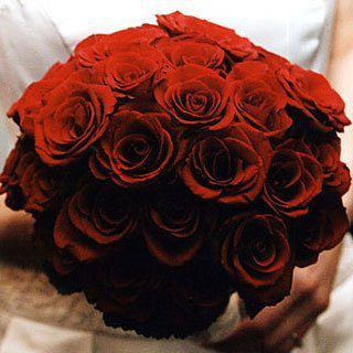 Bouquet of bold red roses