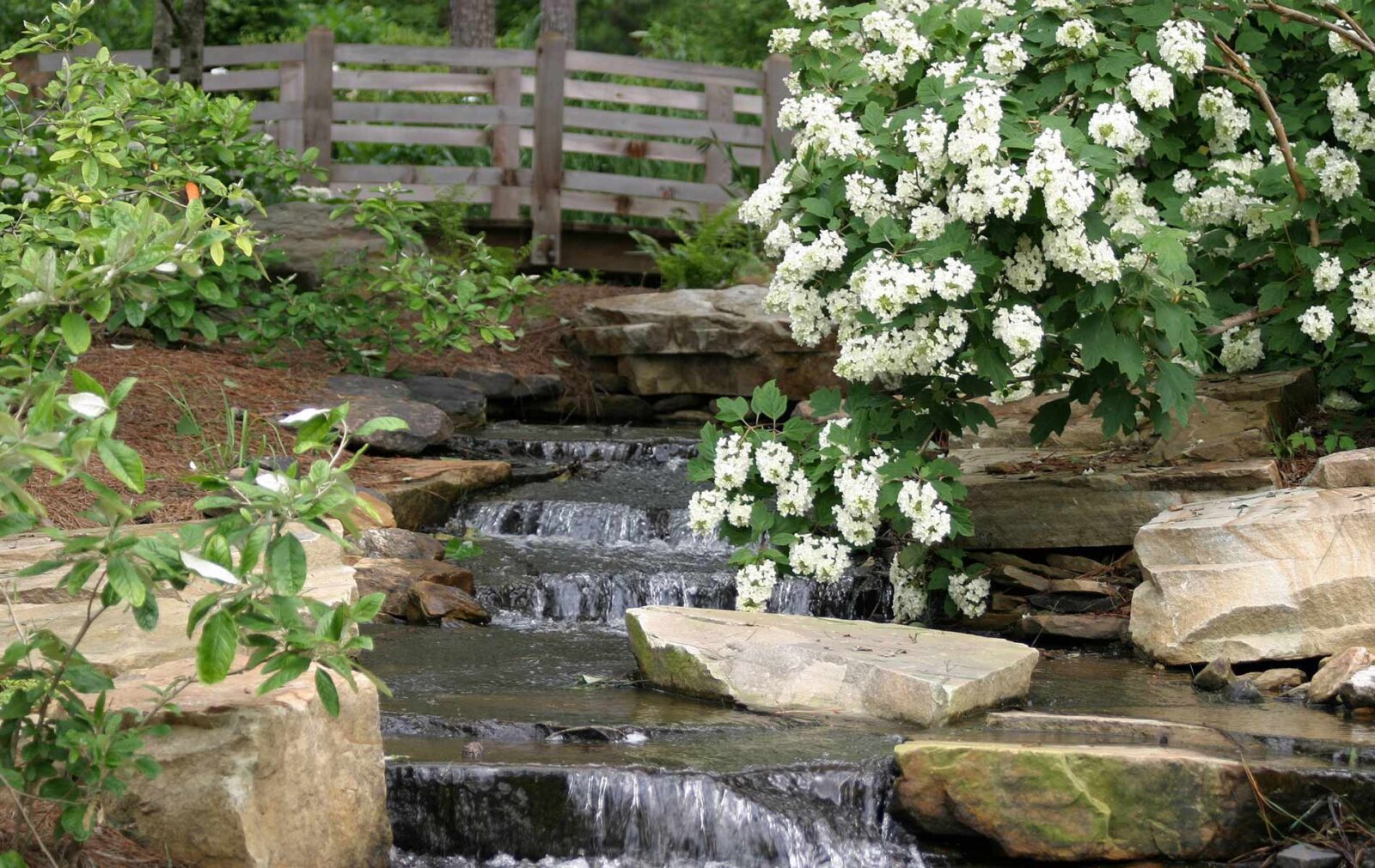 Aldridge Gardens Specializes In Hydrangeas
