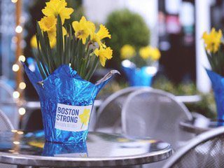 Boston Strong Yellow Flowers