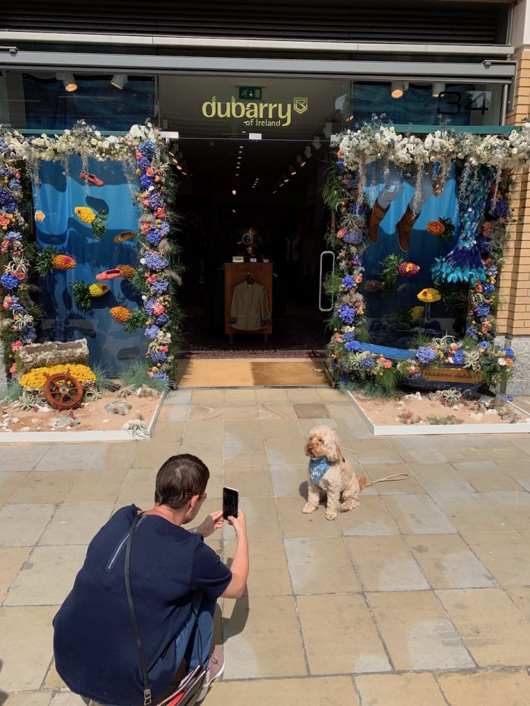 Flowers In Front of Dubarry
