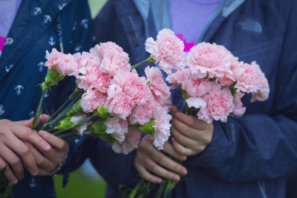 Beautiful Bloomex carnations in hands