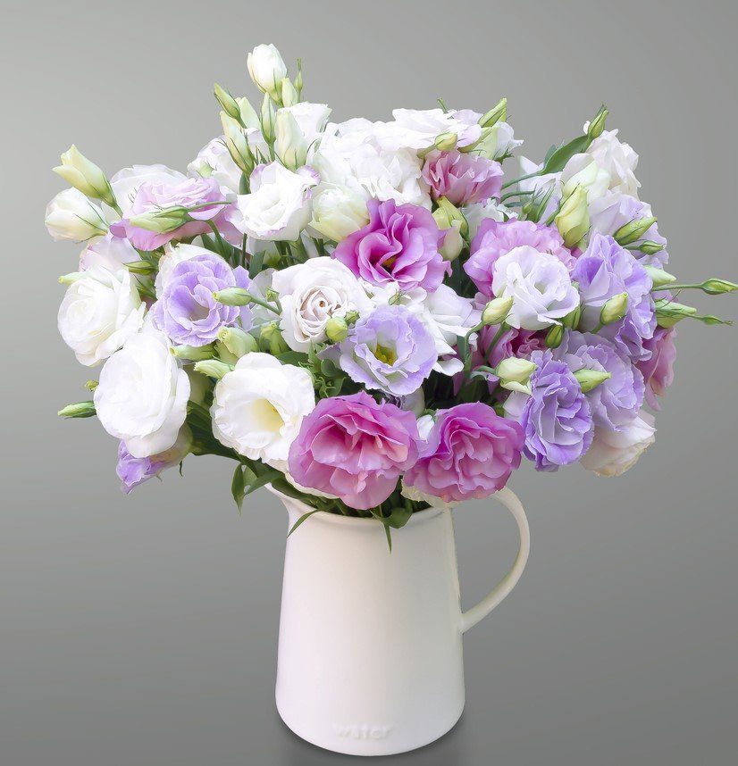 Lisianthus flowers and their meaning