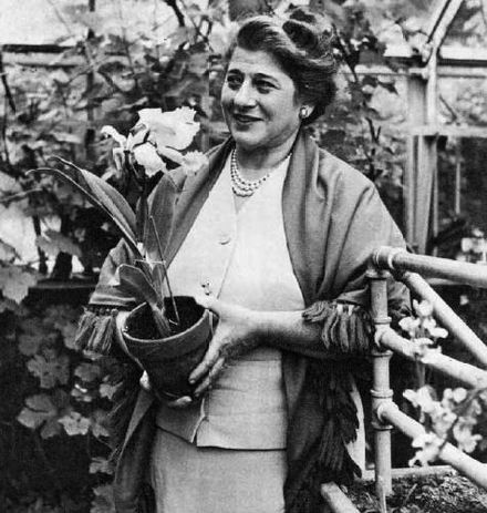 Chanukah Bush Started by TV and Radio Pioneer Gertrude Berg since in her Bedford greenhouse