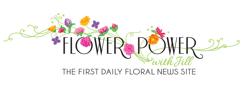 Flower-Power-Logo-Website | Flower ...