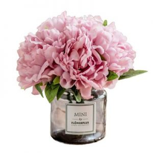 Shop: Pink peonies in a glass vase on a white background are available for purchase at our shop.