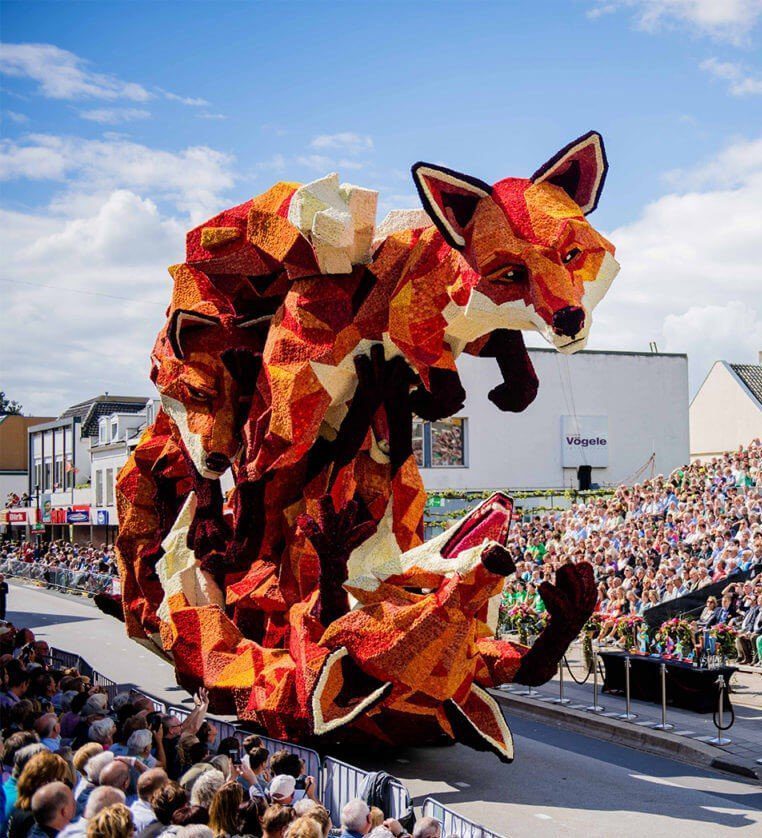 Netherland Flower Parade Foxes Playing