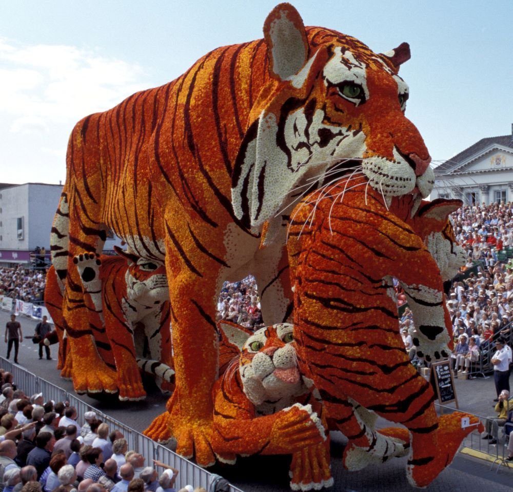 Netherlands Flower Parade Tiger and Cubs
