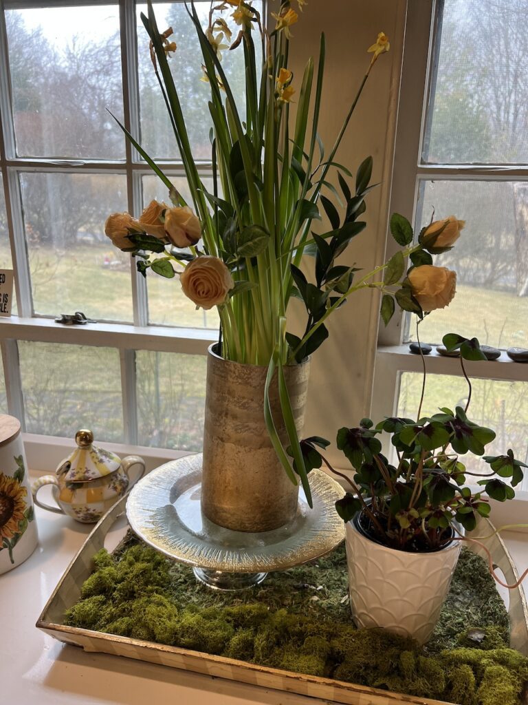 Good luck all year with an oxalis plant