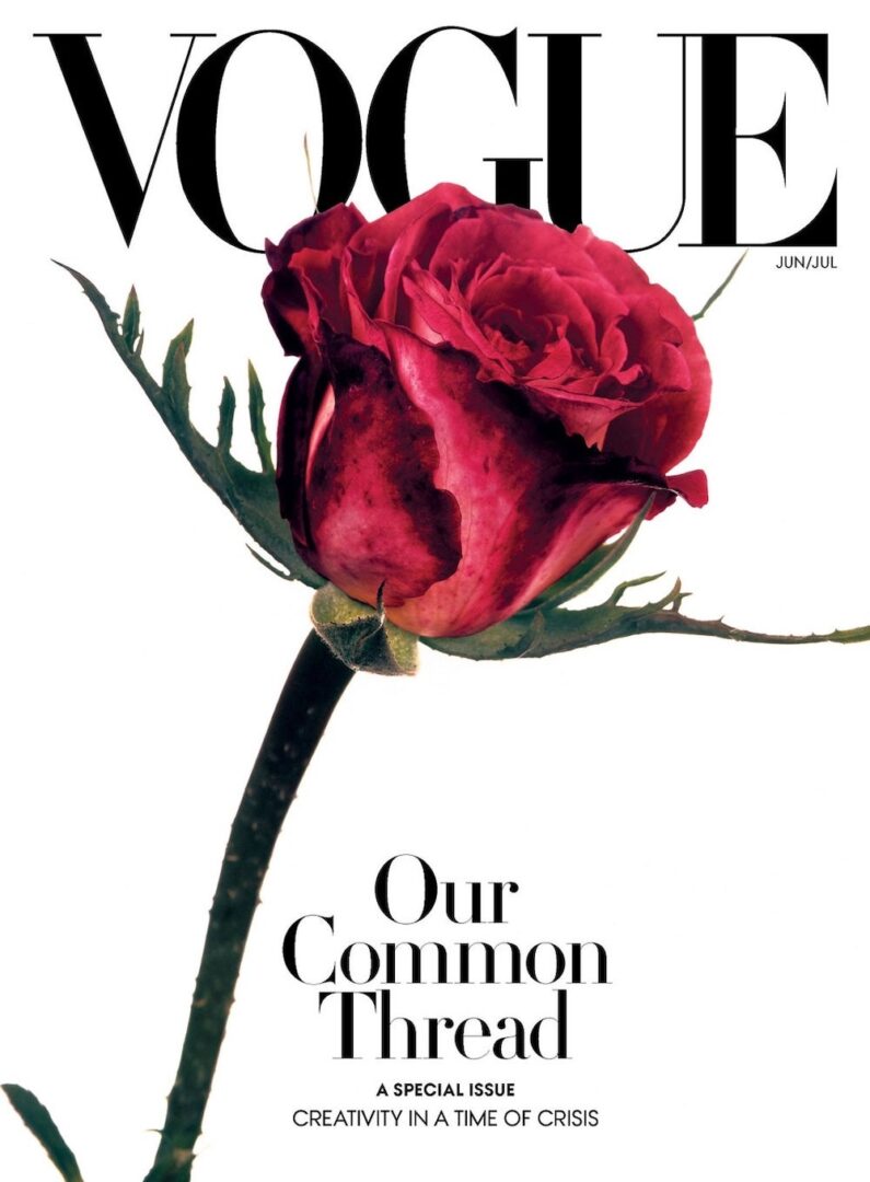 As Symbol of Hope, Vogue Puts a Single Rose on Its June Cover