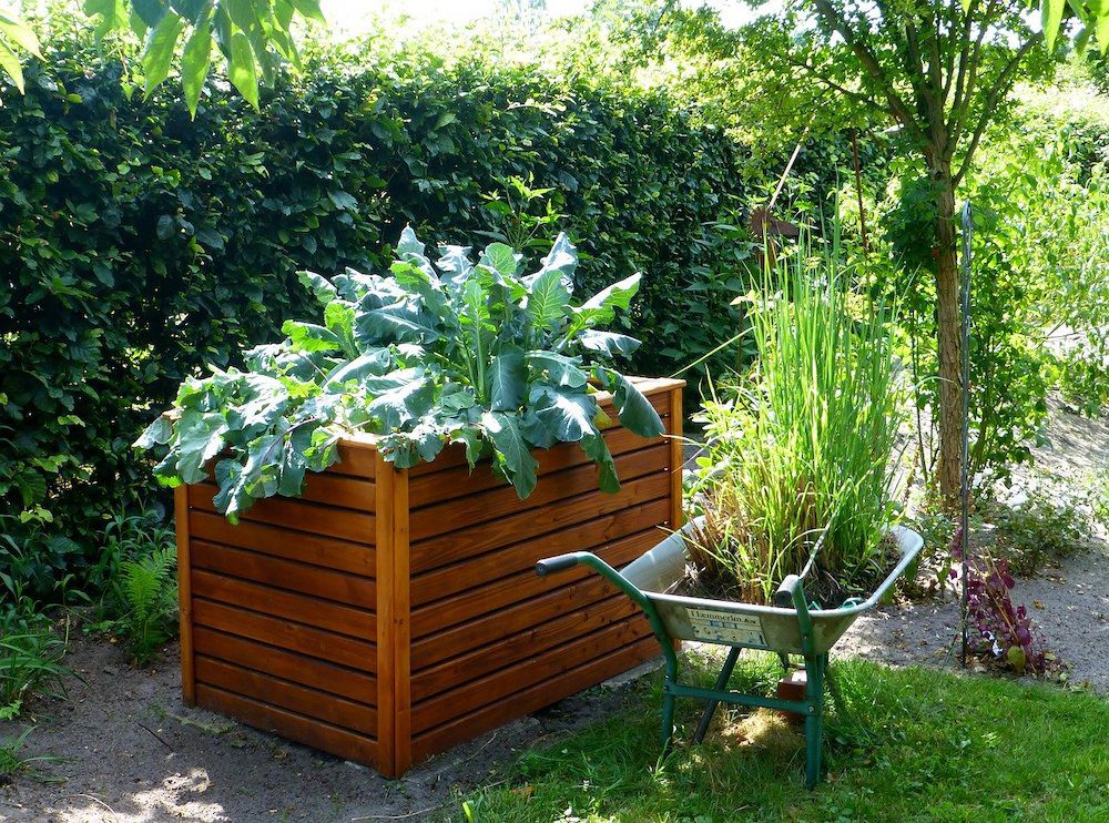 Pixabay Raised Garden Bed