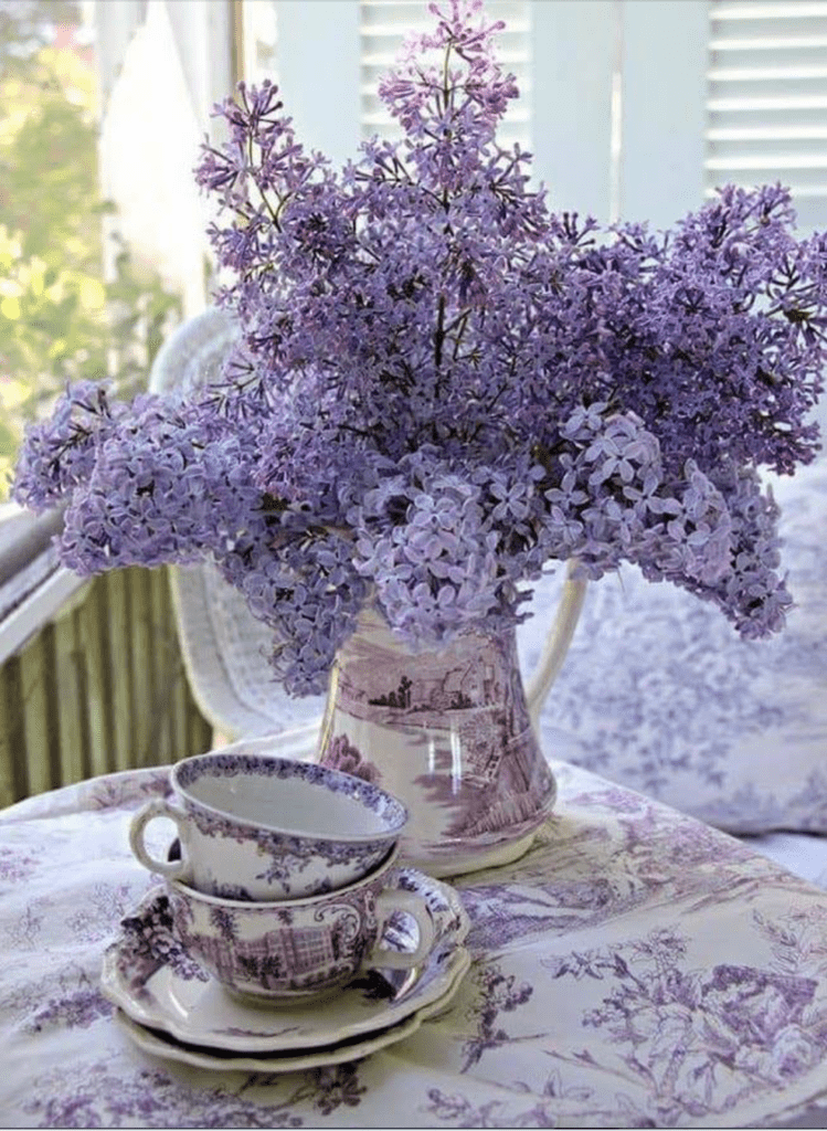 Cutting Lilac Bushes: Using Them in Decor and Drinks Too!