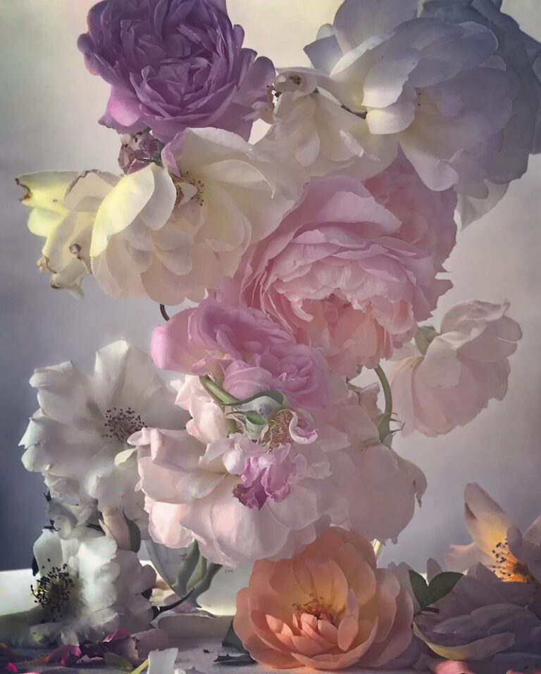 Flower Power Daily | How Fashion Photographer Nick Knight Uses AI to ...
