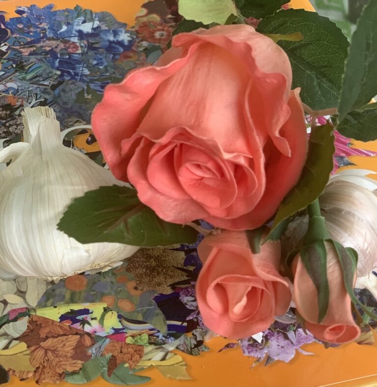 Plant Garlic Bulbs Near Roses and the Flowers Smell BETTERPlant Garlic