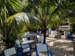 Seating under the trees at Fagers Palm Beach