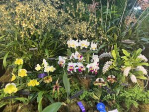 tropical floral display