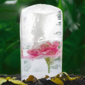 rose in ice block