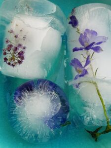 flowers in ice