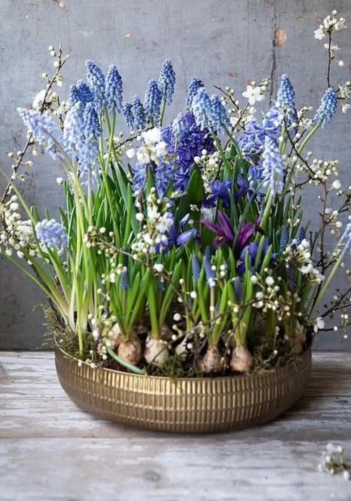 blue and white arrangement 
